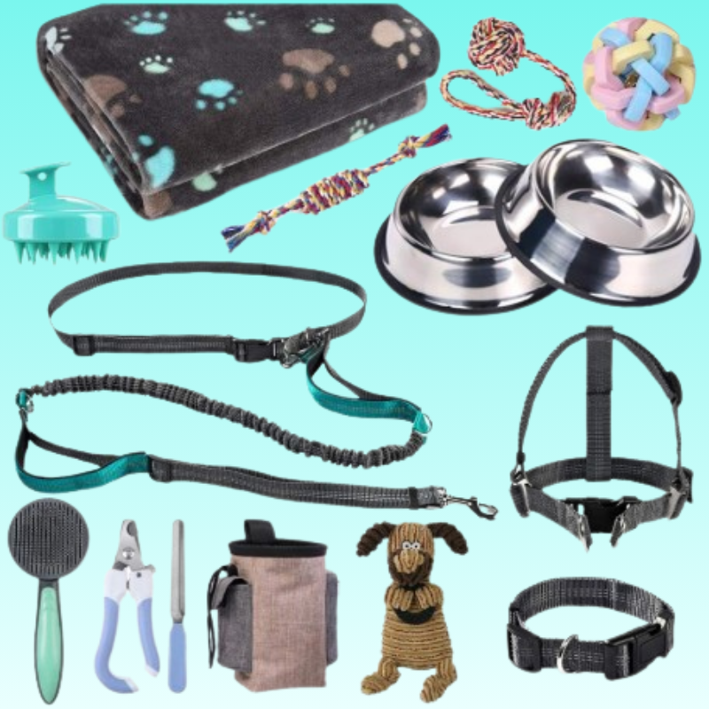 Accessories