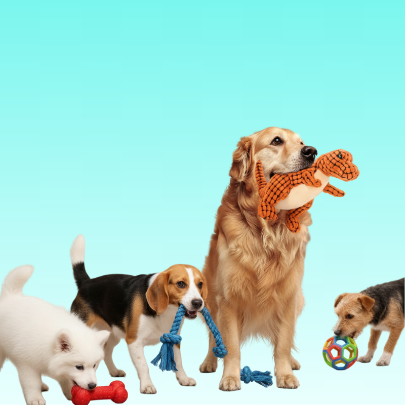 Toys