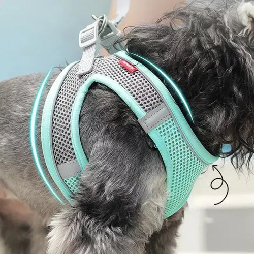 Adjustable Puppy Harness & Leash Set | Small Dogs & Cats