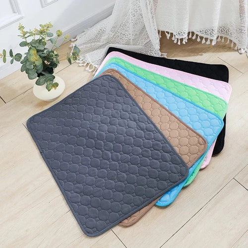 Absorbent & Reusable Dog Diaper Blanket | Pet Bed Urine Protection